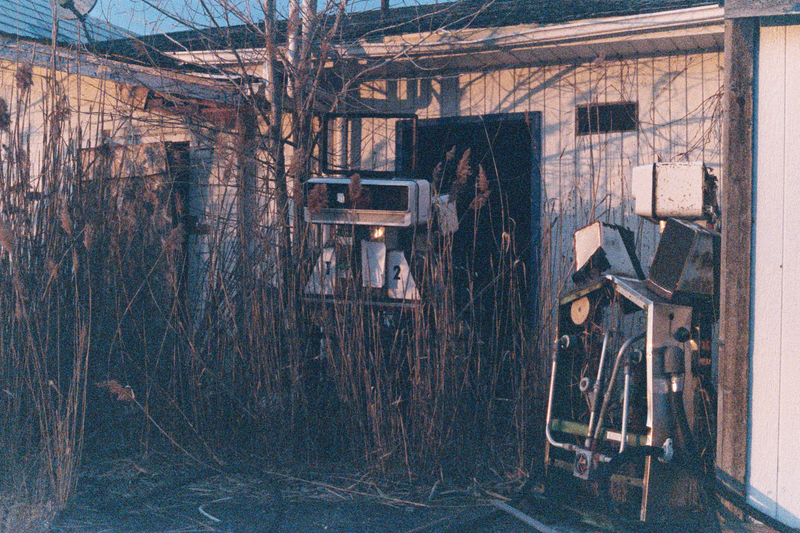 Illustration for article titled So I tried shooting Natura1600 at dusk/night